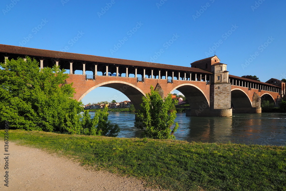 Fototapeta premium The 