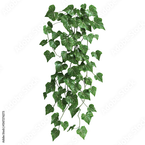 3D Decorative Ivy Plant with Trailing Vines Isolated on Transparent Background