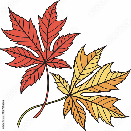 Autumnal Harmony: A minimalist vector illustration of maple leaves couple