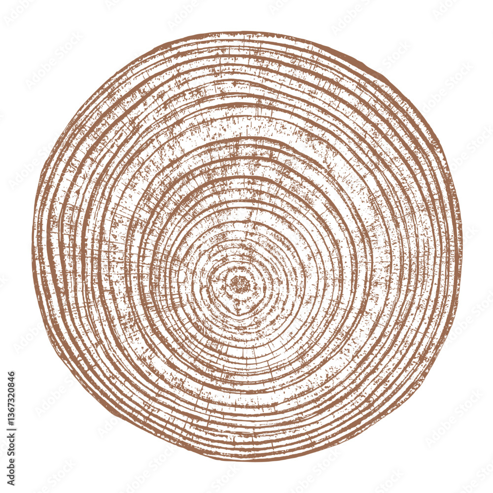 Tree wood texture. Wooden old trunk. Cut timber log. Abstract rings nature pattern. Brown circle stump. Wood cross section.