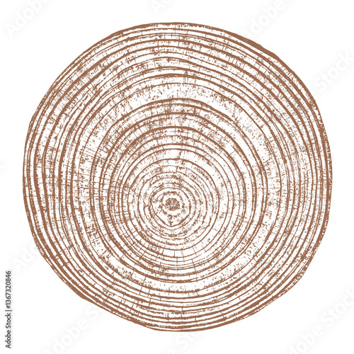 Obraz na płótnie Tree wood texture. Wooden old trunk. Cut timber log. Abstract rings nature pattern. Brown circle stump. Wood cross section. w salonie