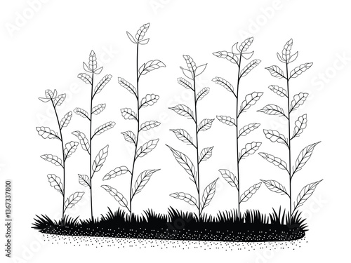 Grain ears growing in the field.