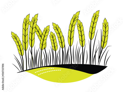 Ears, grains, stalks of wheat, oats, barley, rye. Harvesting the grain.