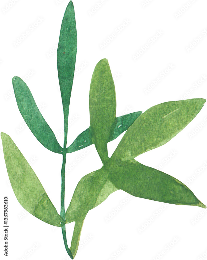 Naklejka premium A delicate watercolor illustration of a green leaf branch with multiple slender leaves