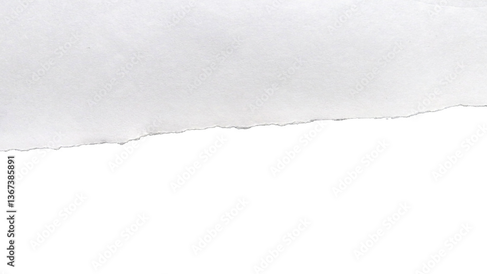 Ripped white paper pulled out from a ring notebook Ripped white paper pulled out from a ring notebook