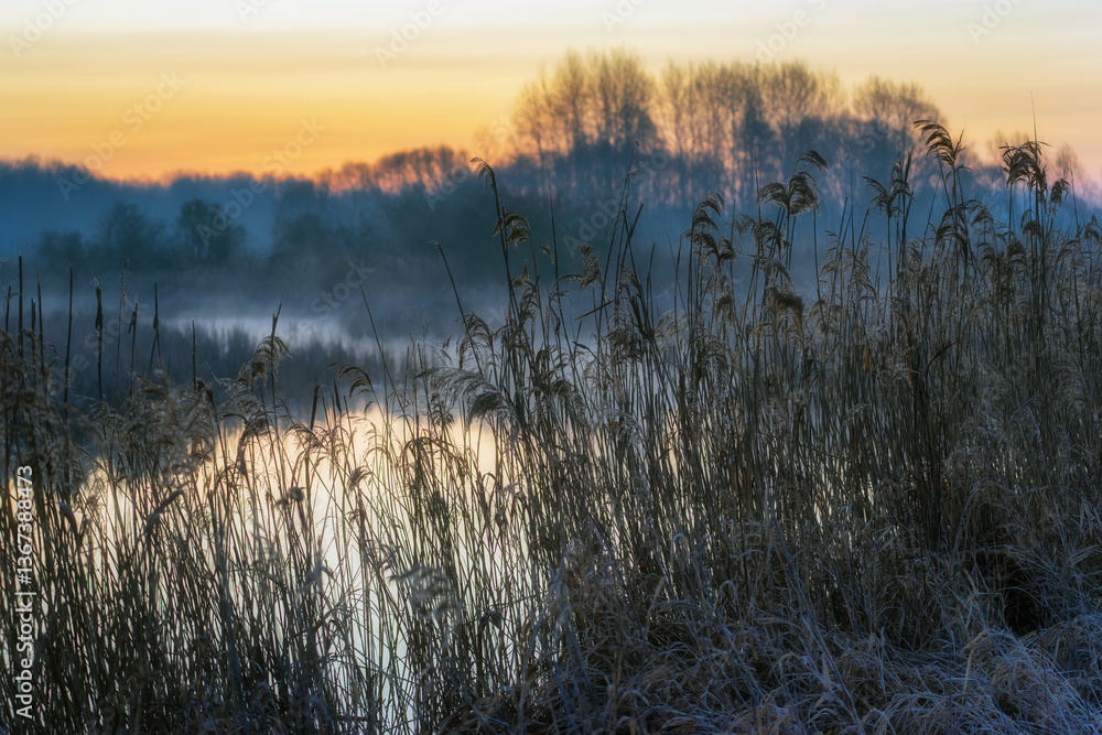 Poranek przed wschodem słońca, Podlasie, Polska