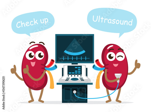 Kidney and ultrasonography machine . Cute medical cartoon character . Isolated white background . Vector .