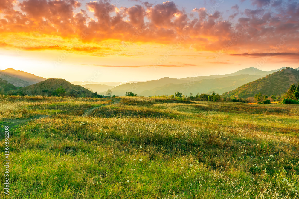 Obraz premium summer of spring landscape of green grass meadow with great beautiful mountains and awersome golden cloudy sunset.