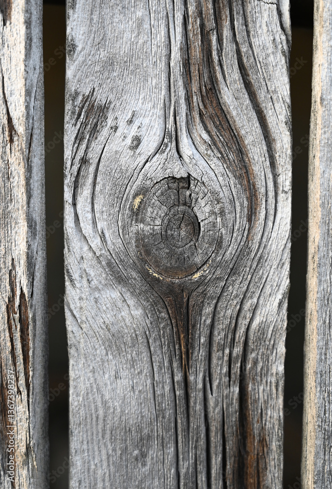 Wooden texture showcasing intricate patterns and natural age on a weathered plank in soft light, emphasizing craftsmanship and nature