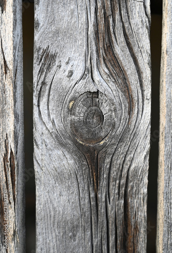 Obraz na płótnie Wooden texture showcasing intricate patterns and natural age on a weathered plank in soft light, emphasizing craftsmanship and nature w salonie