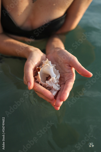 Sea shell in woman's hands on water background.