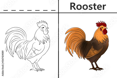 Rooster coloring pages for kids and learn to recognize letters, animal recognition card media for various games in early childhood learning