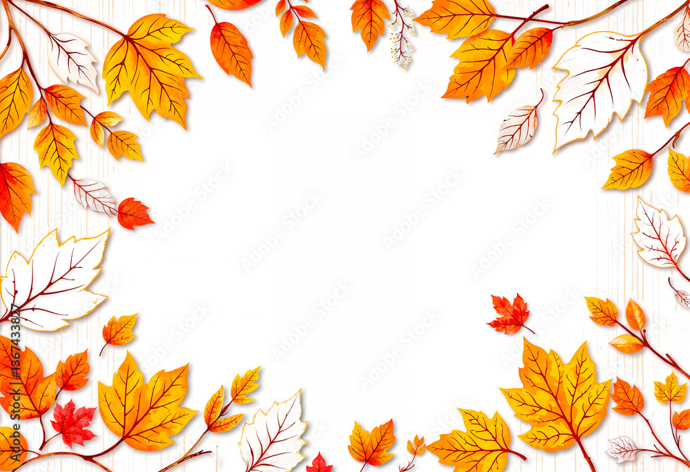 Transparent vivid autumn leaves Transparent vivid autumn leaves