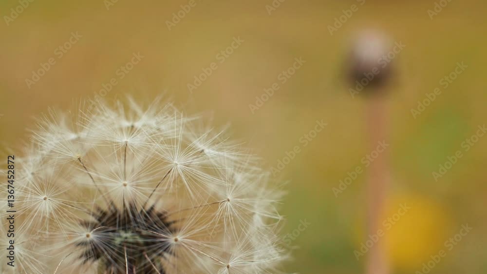 High Quality Real Shot of Charming Autumn View High Quality Real Shot of Charming Autumn View