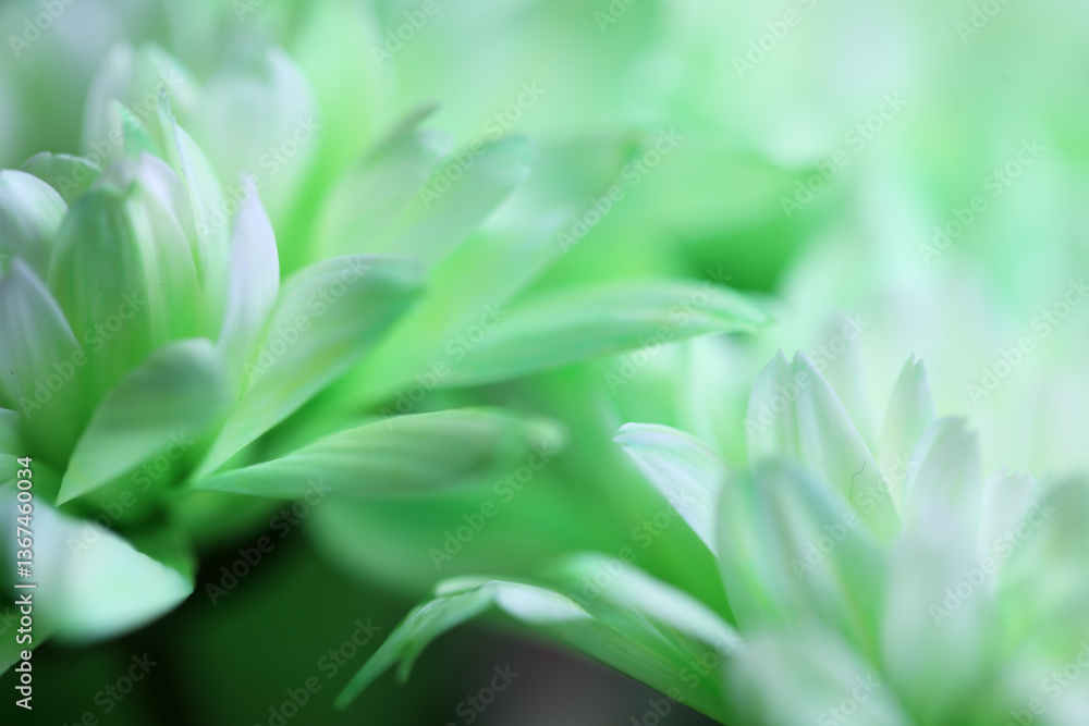 Soft Green Floral Background with Delicate Petals and Textures Soft Green Floral Background with Delicate Petals and Textures