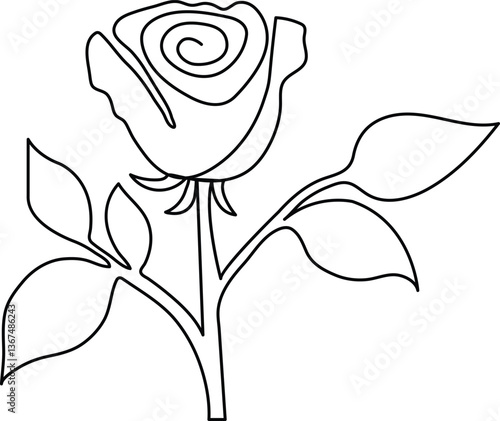 continuous single line Premium Minimalist Rose Vector art for your project