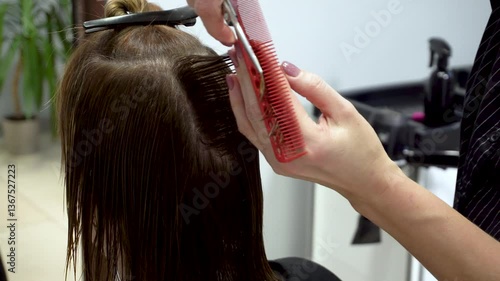 A hairdresser cuts a woman's hair. Hairdresser services. Close-Up. Suitable for content about beauty and health, hair care and hairdressing services.