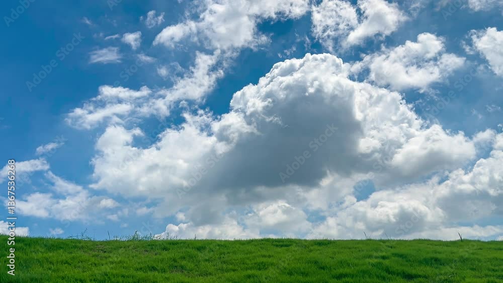 4k Video of Summer Grassland Under Bright Blue Sky and White Clouds 4k Video of Summer Grassland Under Bright Blue Sky and White Clouds