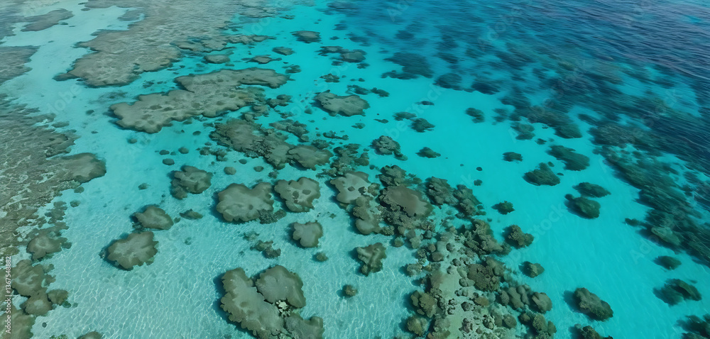 Obraz premium Aerial View of Coral Reef and Turquoise Ocean Water Texture