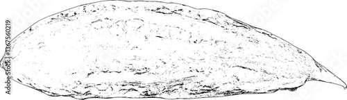 Bitter gourd line art
