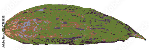 Bitter gourd pixel art