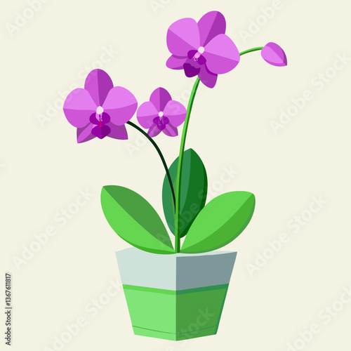 pink orchid in a pot