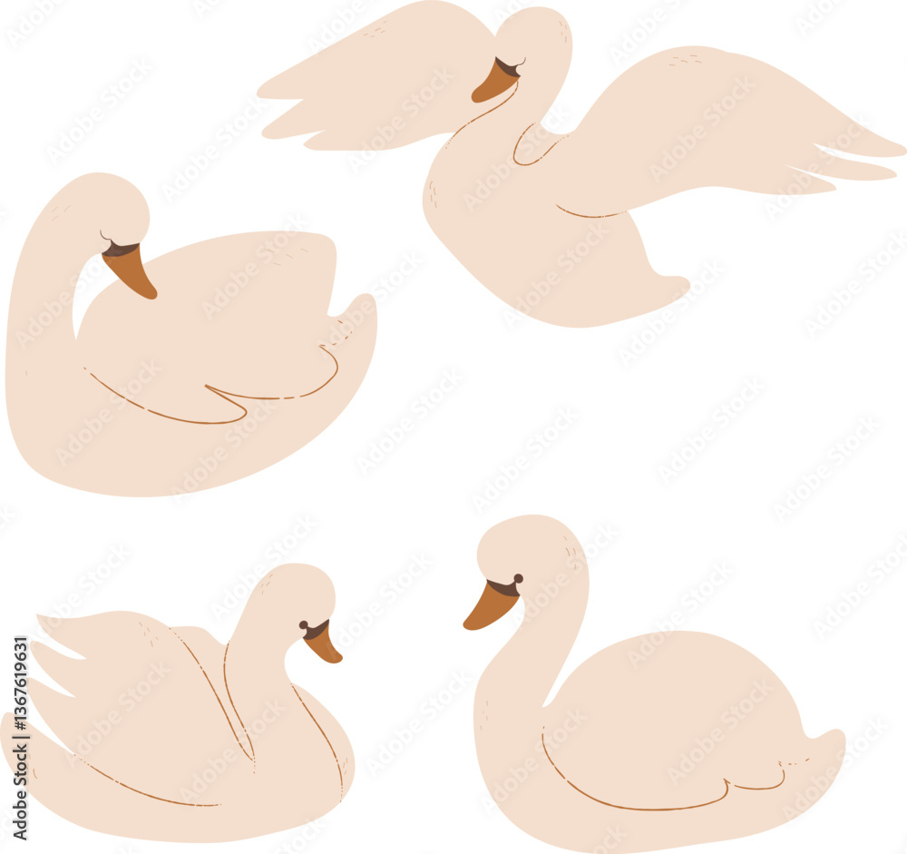 Elegant Soft Color Swans on a White Background Elegant Soft Color Swans on a White Background