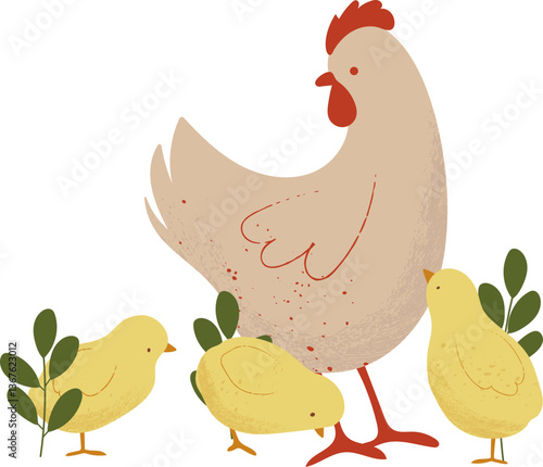 Hen and Baby Chickens Illustrations. Cute Yellow Chicks and Chicken.