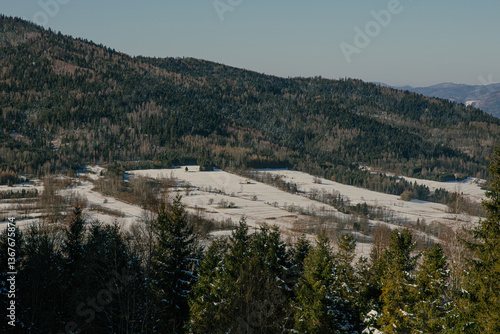 Fototapeta Naklejka Na Ścianę i Meble -  Winter Mountain Landscape with Snowy Fields and Forest, Poland 