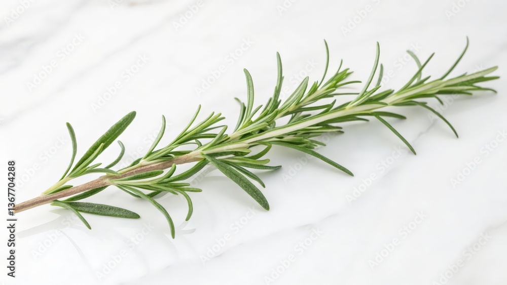 Fresh Rosemary Sprig with Delicate Flowers on White Background
Fresh Rosemary Sprig with Delicate Flowers on White Background