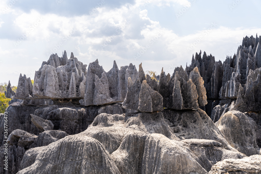 Tsingy de Bemaraha, Madagascar: Unique rock formations.