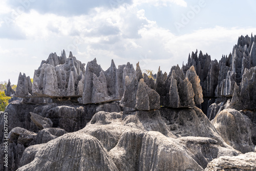 Obraz na płótnie Tsingy de Bemaraha, Madagascar: Unique rock formations. w salonie