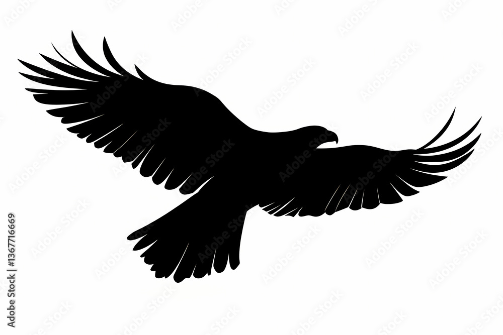 Obraz premium Hawk silhouette on white background vector design
