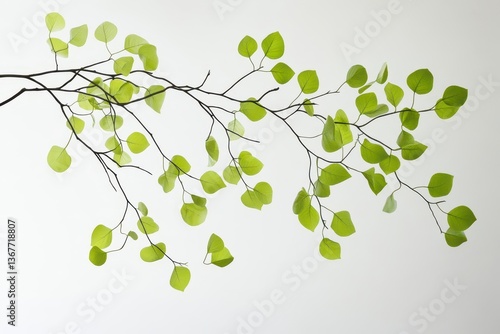 Obraz na płótnie dancing spring leaves caught in gentle breeze fresh limegreen foliage suspended in midair with organic movement minimalist white backdrop w salonie