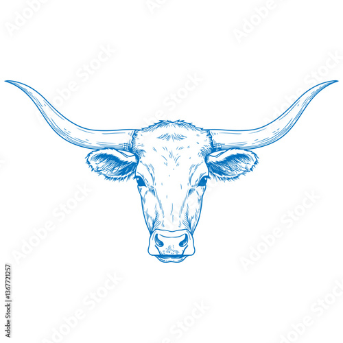 Texas Longhorn cow head line drawing, simple blue outline illustration of longhorn cattle face with large curved horns, minimal western ranch livestock sketch, digital farm animal contour art

