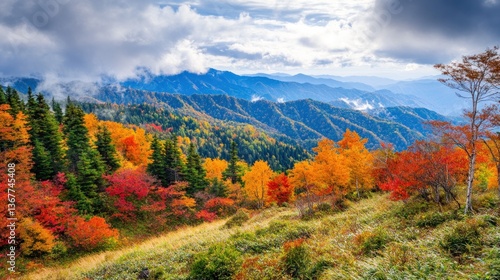 Autumnal Majesty: A Panoramic View of the Smoky Mountains