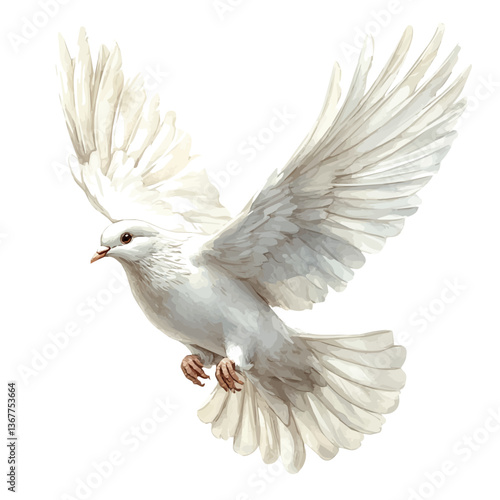 A watercolor painting of a dove, isolated on a white background. Dove vector.

