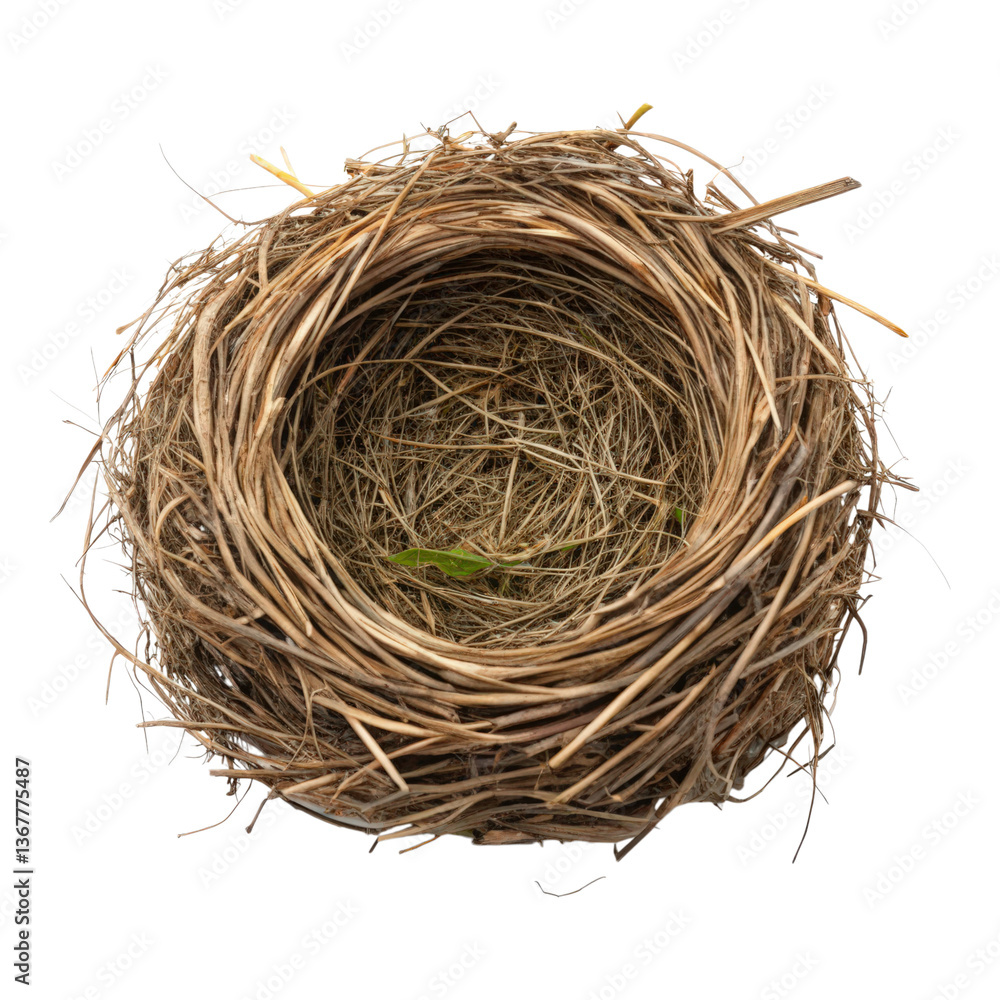 Obraz premium A circular bird's nest made of twigs and grass, featuring a small green leaf inside.