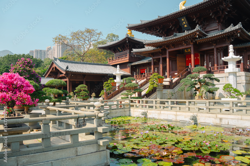 Nan Lian Garden and lotus pond in Hong Kong