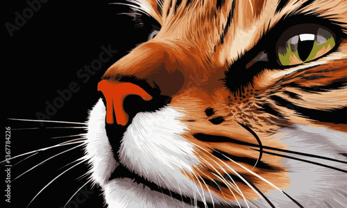 illustration of a mustachioed cat with green eyes in vector