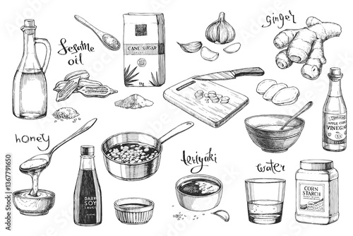 Vector set of hand-drawn illustrations of ingredients for cooking teriyaki. Japanese sauce recipe.