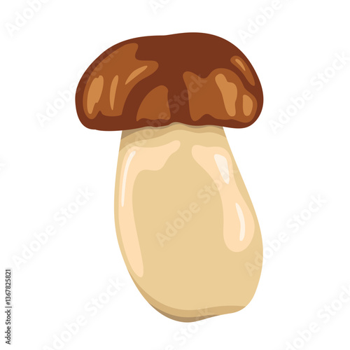 Boletus edulis mushroom with brown cap