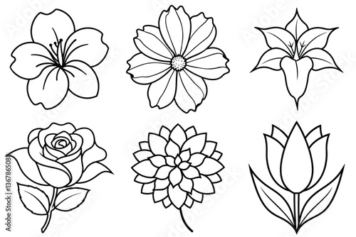 Flower Collection