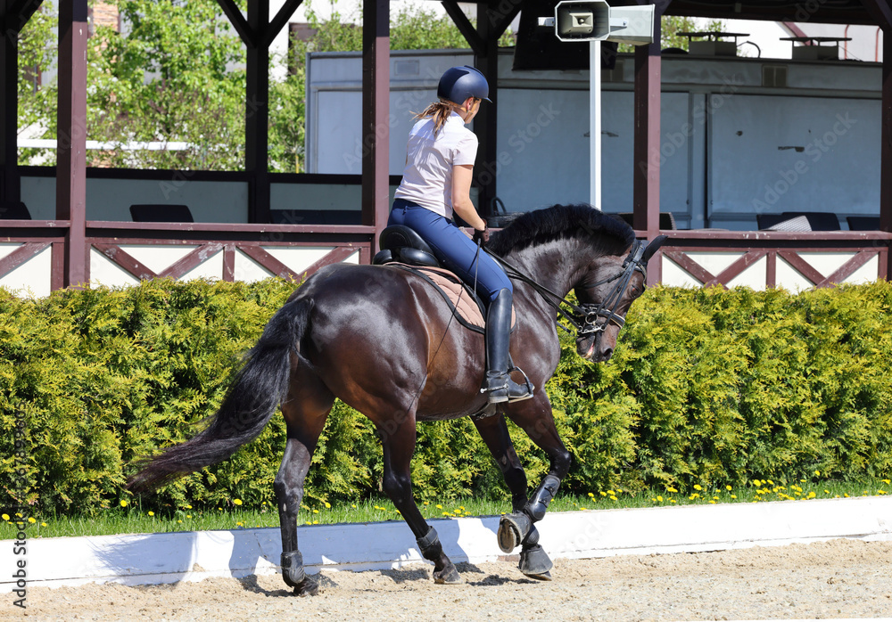 Equestrian woman ride horseback in dressafe platz