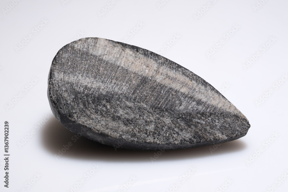 Ancient Trilobite Fossil Displaying Distinct Textured Rock Surface, Paleontological Specimen from Prehistoric Marine Creature Ancient Trilobite Fossil Displaying Distinct Textured Rock Surface, Paleontological Specimen from Prehistoric Marine Creature