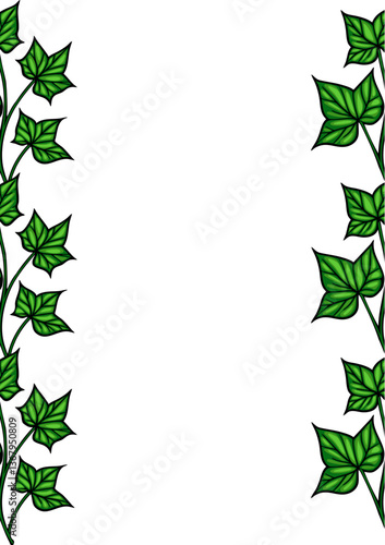 A decorative border featuring green ivy leaves on a white background, creating a natural and fresh aesthetic.