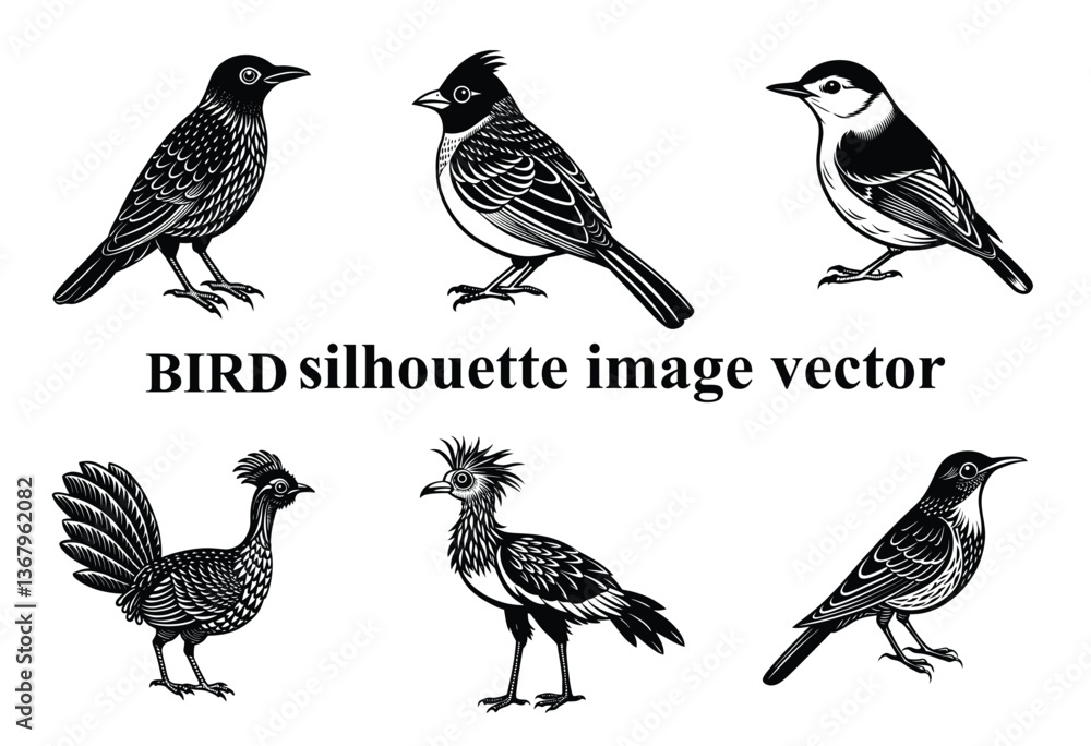 Graceful Wings in the Shadows: A Stunning Bird Silhouette,Silent Flight: The Beauty of a Bird in Silhouette Form Graceful Wings in the Shadows: A Stunning Bird Silhouette,Silent Flight: The Beauty of a Bird in Silhouette Form