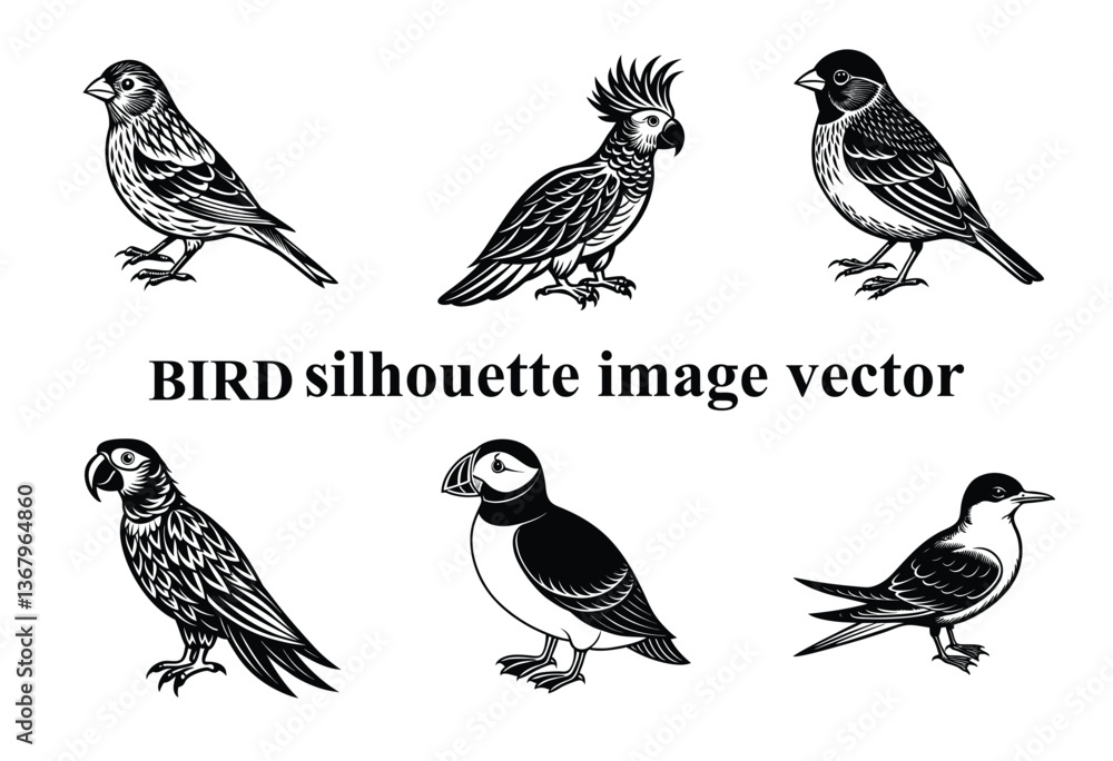 Fototapeta premium Graceful Wings in the Shadows: A Stunning Bird Silhouette,Silent Flight: The Beauty of a Bird in Silhouette Form