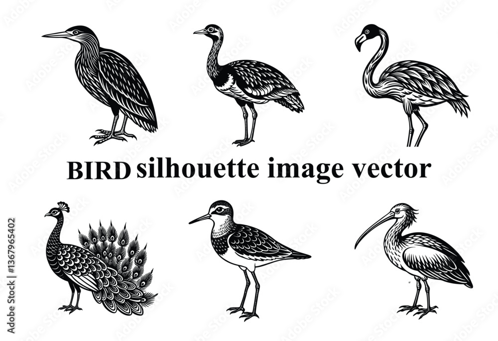 Obraz premium Graceful Wings in the Shadows: A Stunning Bird Silhouette,Silent Flight: The Beauty of a Bird in Silhouette Form