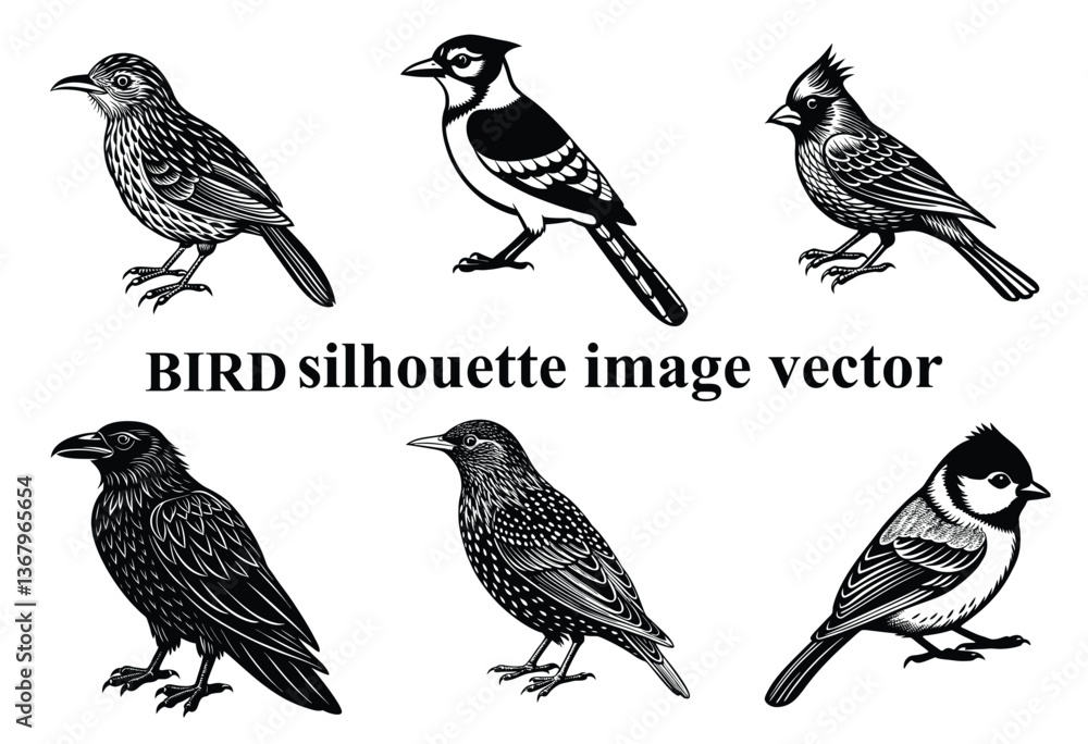 Fototapeta premium Graceful Wings in the Shadows: A Stunning Bird Silhouette,Silent Flight: The Beauty of a Bird in Silhouette Form